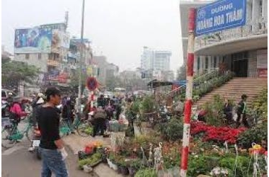 BÁN NHÀ HIẾM - MẶT PHỐ HOÀNG HOA THÁM – KINH DOANH LÃI TO - TIỀN NHỎ - KHÓ TIN 4,8 TỶ.